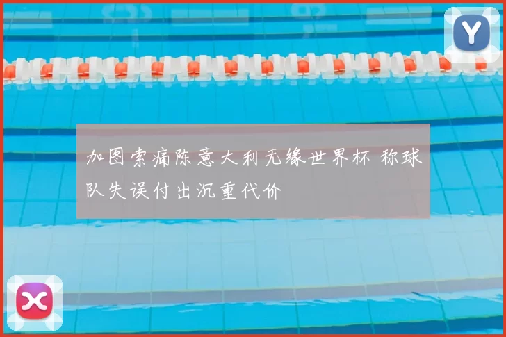 加图索痛陈意大利无缘世界杯 称球队失误付出沉重代价