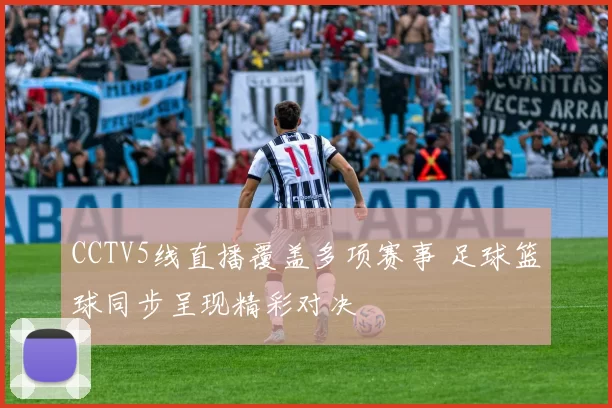 CCTV5线直播覆盖多项赛事 足球篮球同步呈现精彩对决