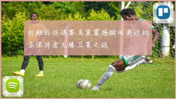 刘翔因伤退赛鸟巢震撼瞬间奥运纪录保持者无缘卫冕之战