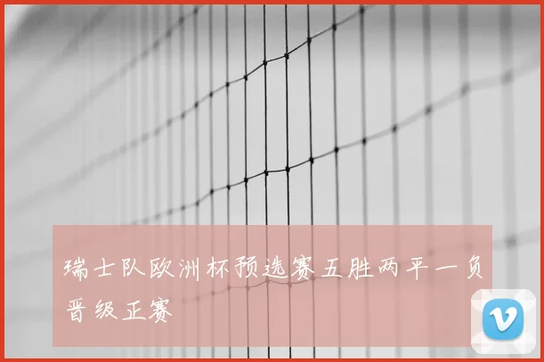 瑞士队欧洲杯预选赛五胜两平一负晋级正赛