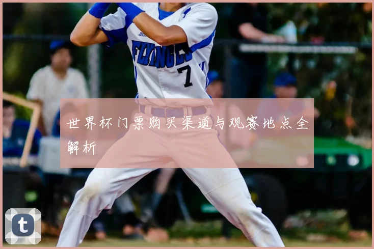 世界杯门票购买渠道与观赛地点全解析